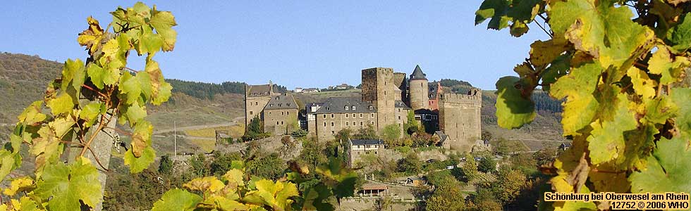 Medieval castle Schonburg on the Rhine River Hill in Germany
